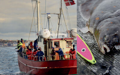 SÅDAN FISKER DU FLADFISK – TIPS FRA EKSPERTERNE