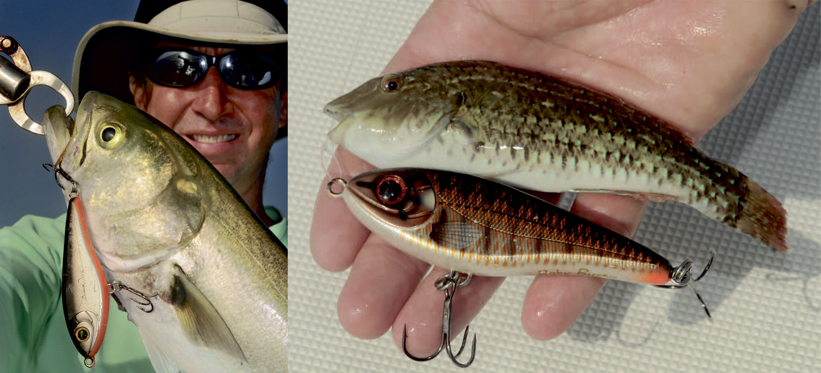 Bluefish på jerkbait