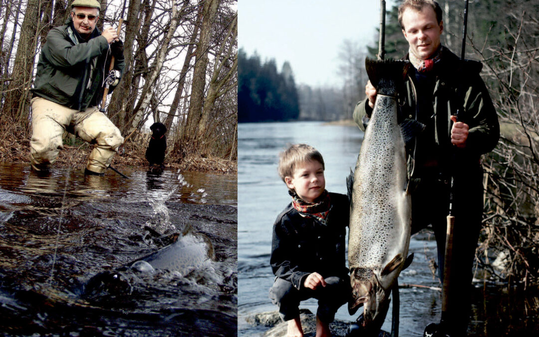 Fiskeri efter havørred i Emåen i Sydøstsverige