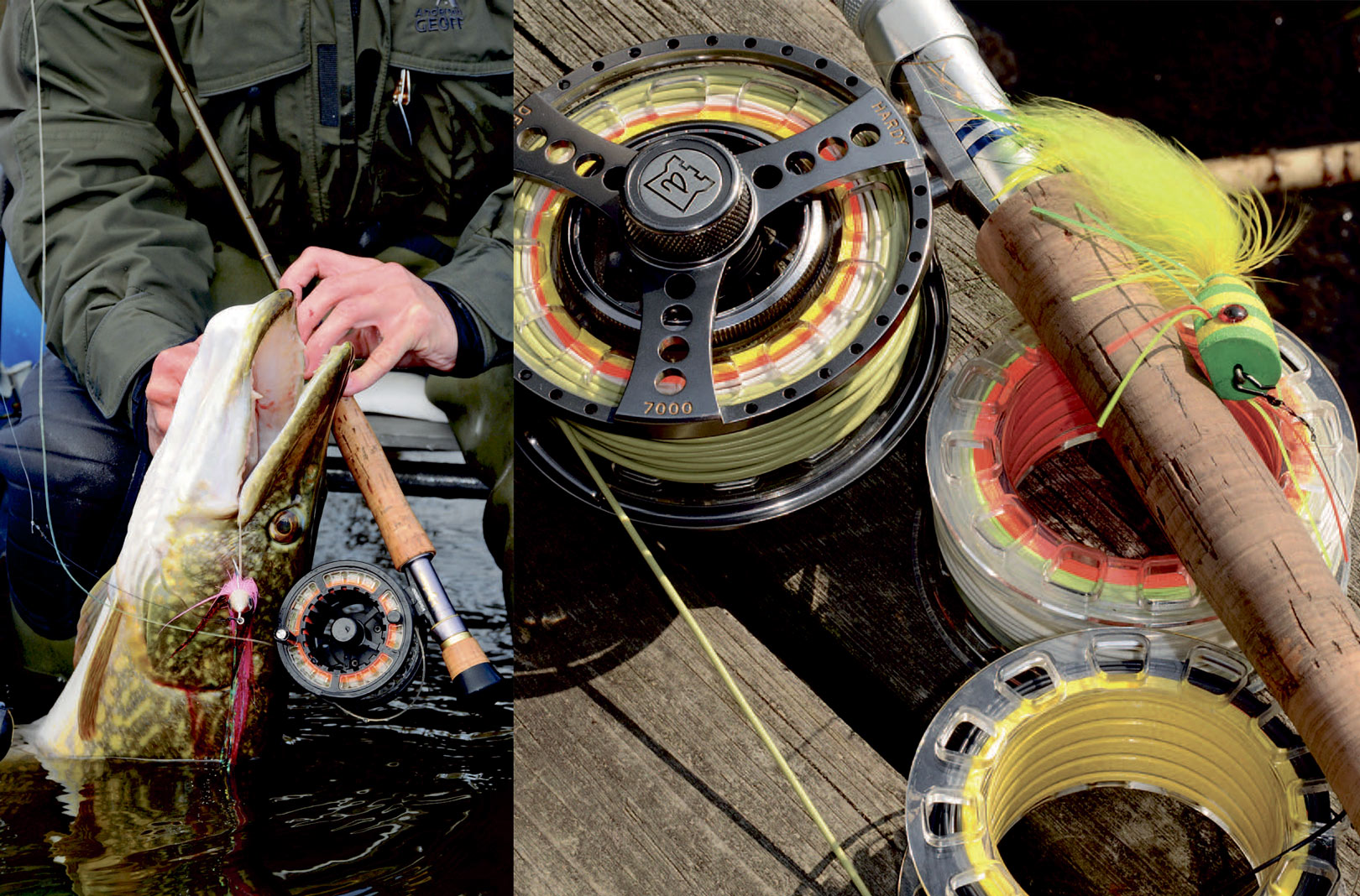 Gedde fanget på flue