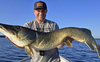 DAIWA OPEN 2025: 127 CM MONSTERGEDDE PÅ DØRG