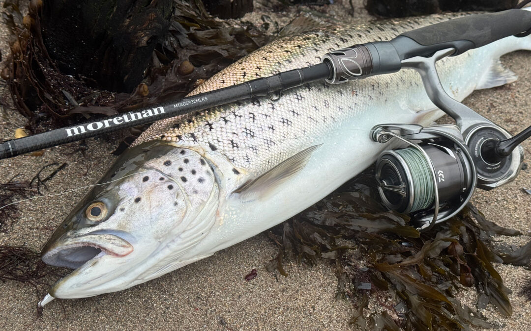 DAIWA OPEN 2026: VIND DAIWAS MORETHAN AGS COAST COMMANDER STANG