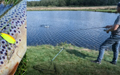 DAIWA OPEN 2025: AKUT FISKEFEBER EFTER 40 ÅRS PAUSE