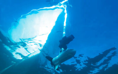 GREJNYT: NY GARMIN FORCE KRAKEN ELMOTOR MED 110″ SKAFT