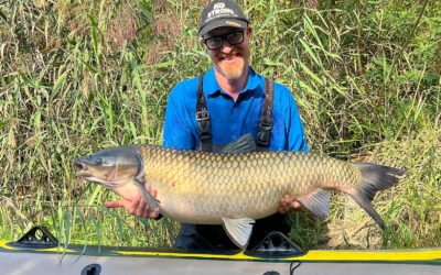 SENSOMMER ER GRÆSKARPETID