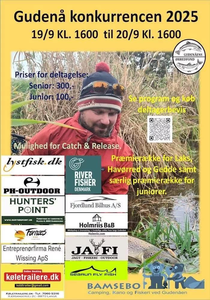 til Gudenåkonkurrencen fanges der laks, havørred og gedder