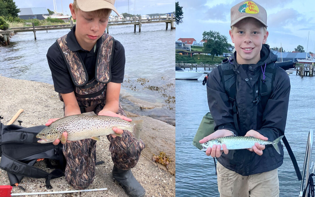 nmakrel og havørred fra Thurø