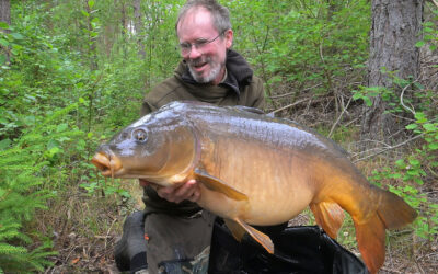 SOL, SOMMER OG SVENSKE SKOVKARPER
