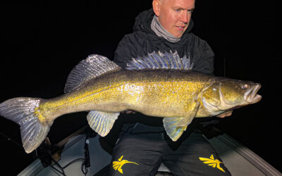 STORSANDART SPOTTET OG FANGET PÅ MEGALIVE