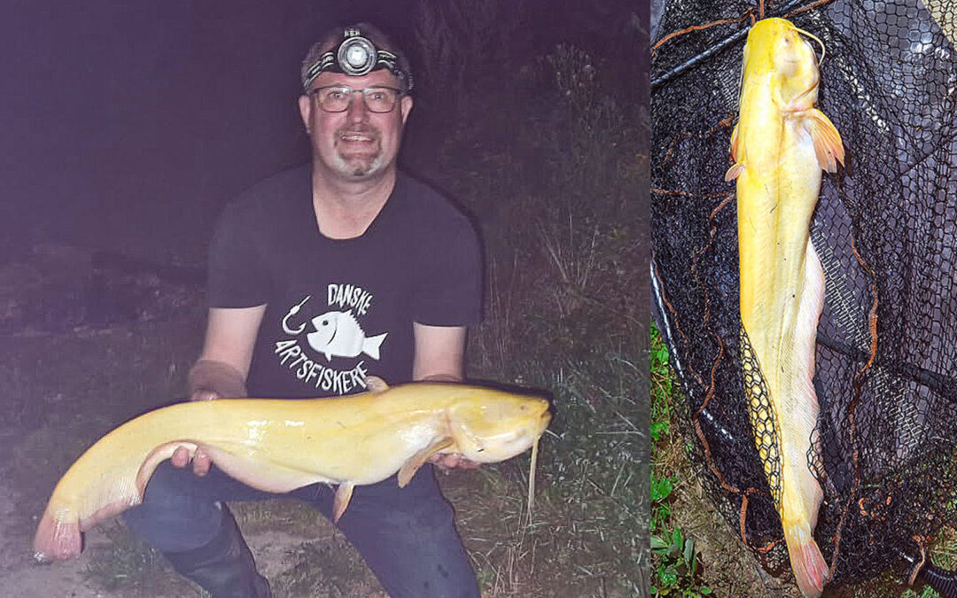 Leo Magnusson med en albino malle