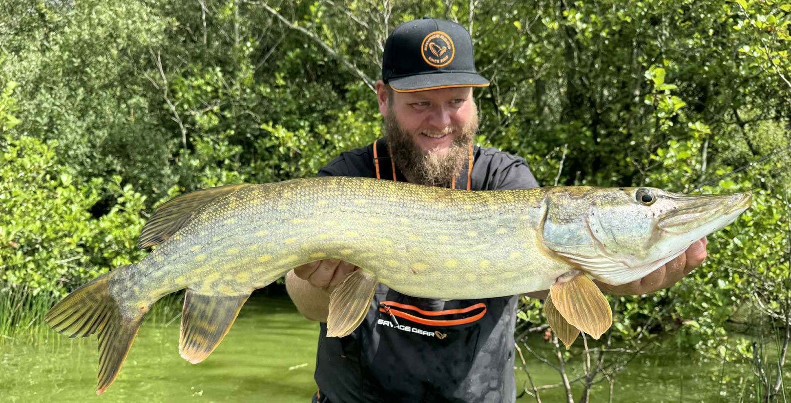 Mads Davidsen, der er prostaffer for Savage Gear med en smuk gedde.