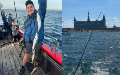 EFTER MAKRELLER MED HVIDOVRE SPORT