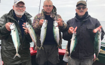 TAG PÅ KUTTERTUR I ØRESUND OG FANG MASSER AF MAKREL