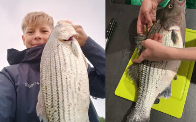 DAIWA OPEN 2025: EN SOLSKINSBARS PÅ MAJS