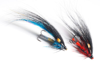 LONGWING FLUER TIL LAKS – I SUNRAY SHADOWS FODSPOR