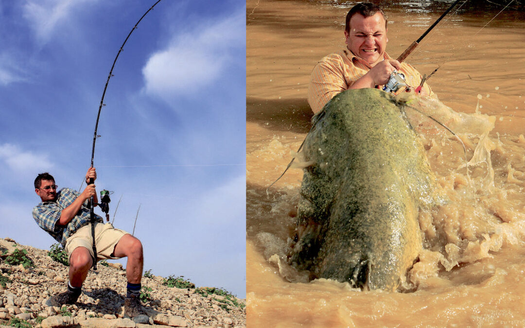 maller fra Ebro floden i Spanien