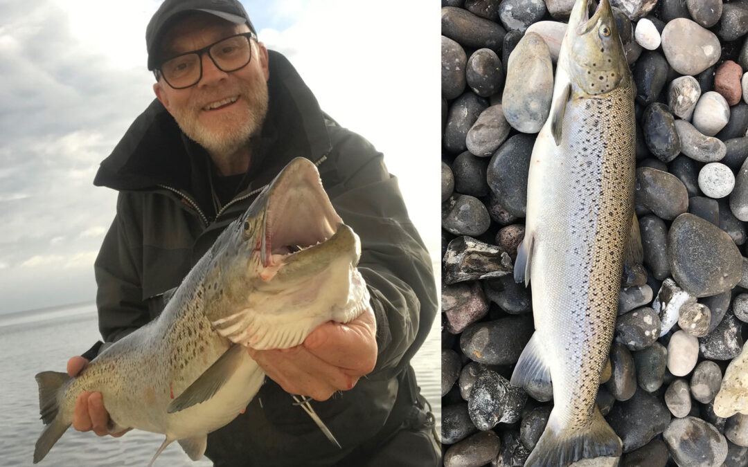 Søren Tønder med havørred fra Stevns