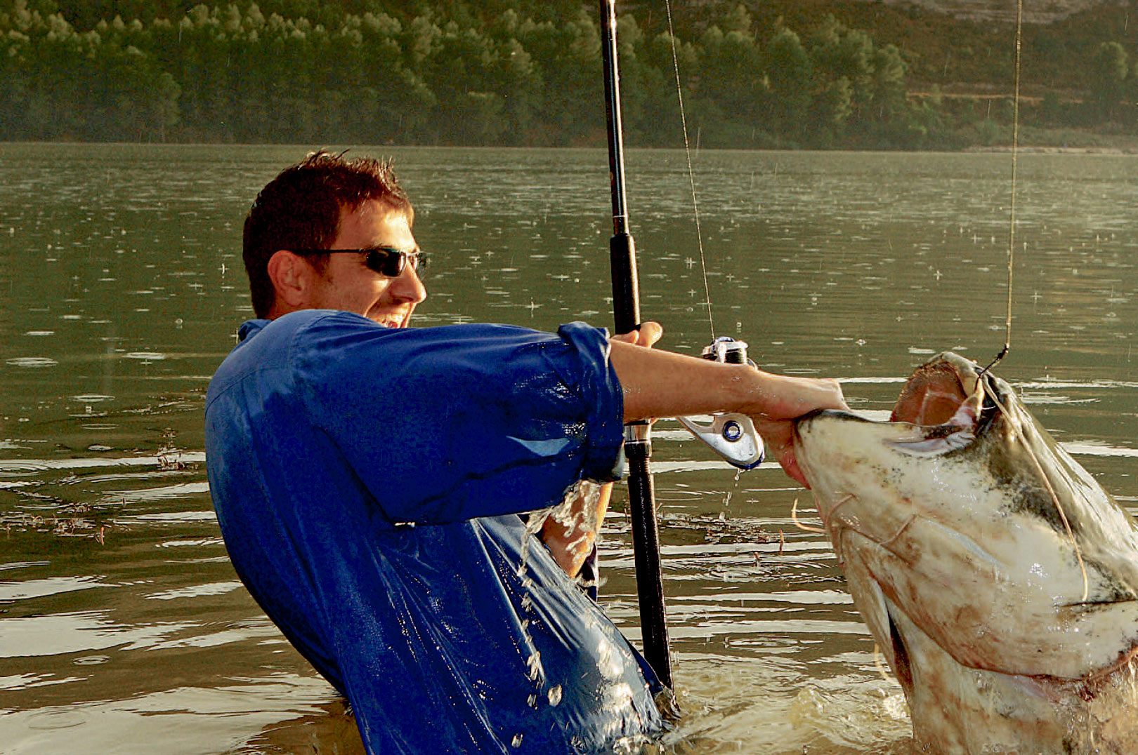 En stor malle fra Ebro floden