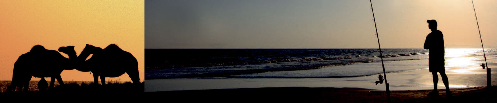 Kystfiskeri efter hajer i Oman