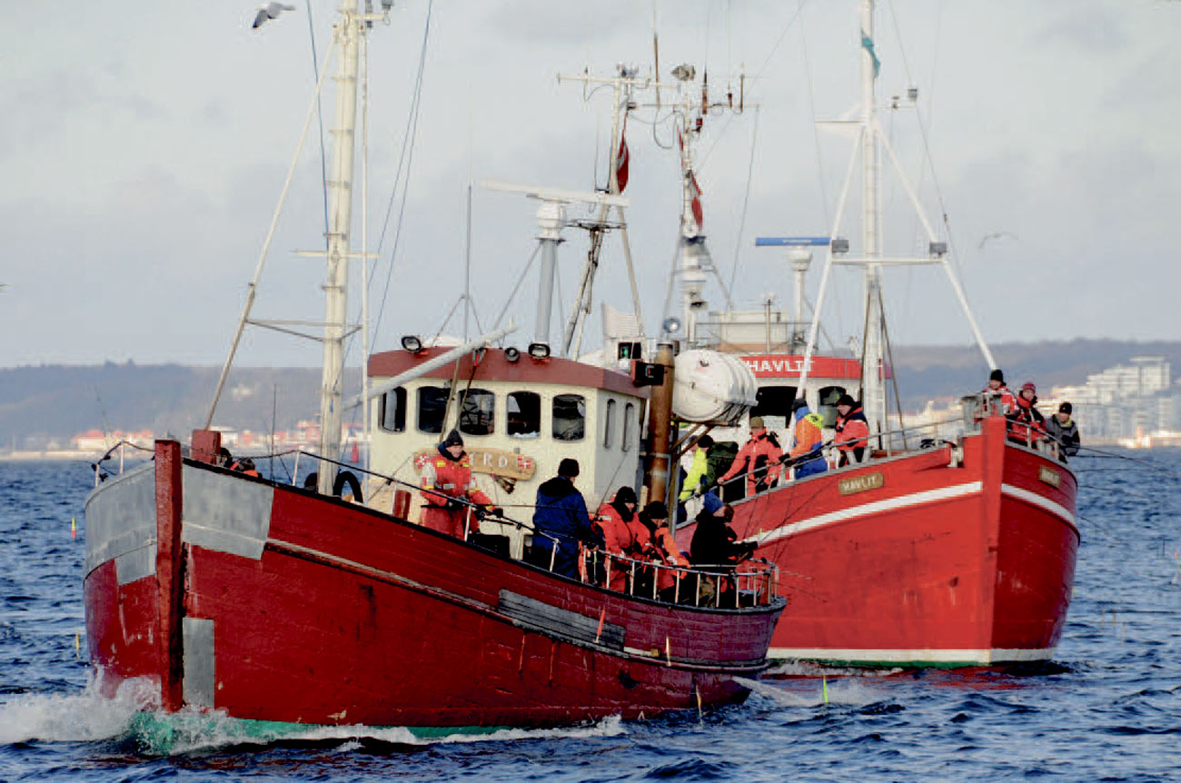 Fisken til fiskesuppen skal du naturligvis fange selv.