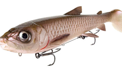 GREJNYT: 3D WHITEFISH SHAD XL FRA SAVAGE GEAR