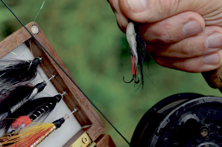 Fluer til havørred i Uggerby Å.