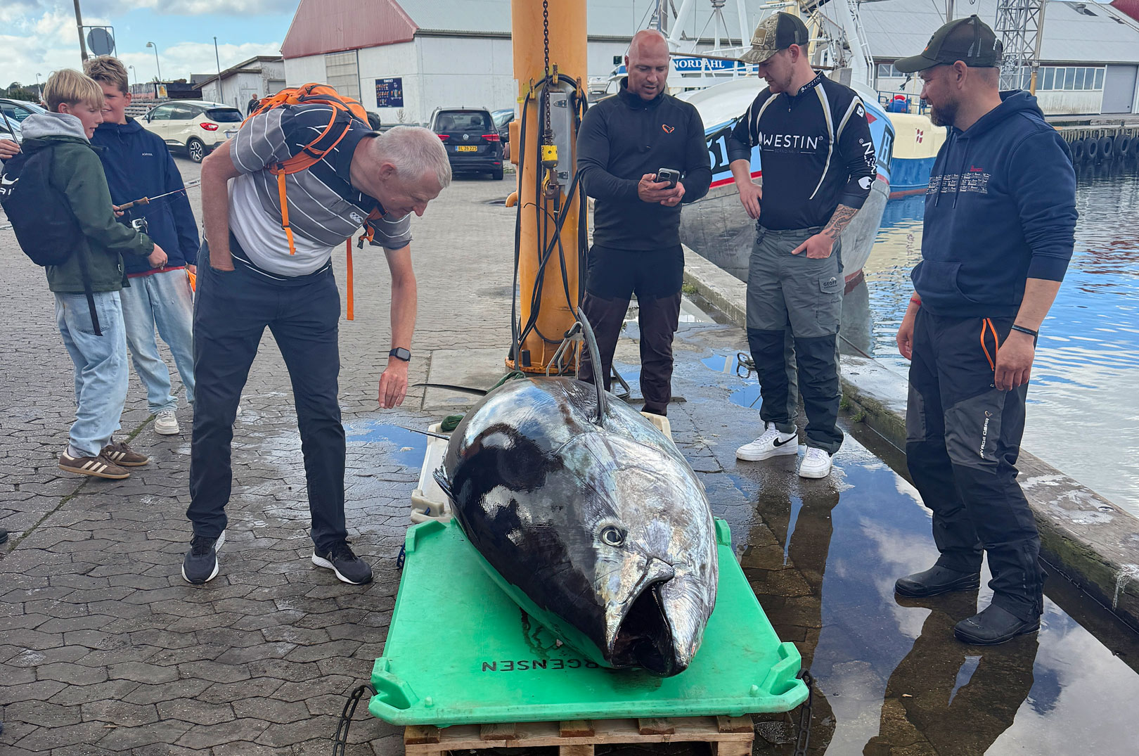 Ny dansk rekord tun Øresund