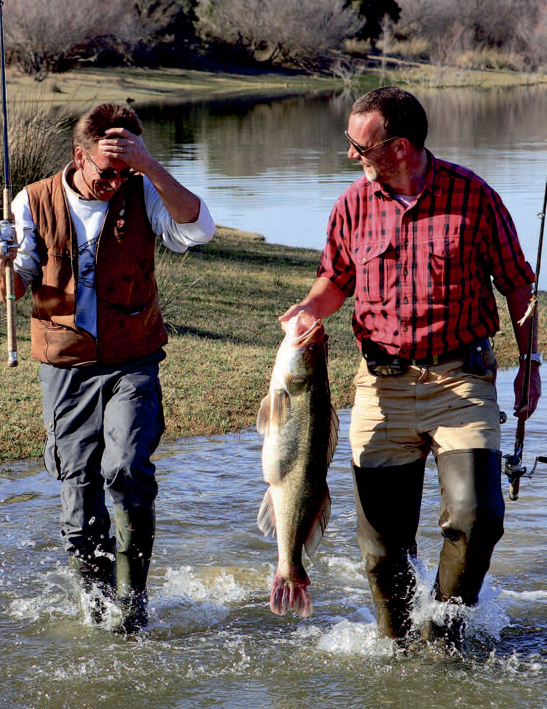 Sandart fra Ebrofloden.
