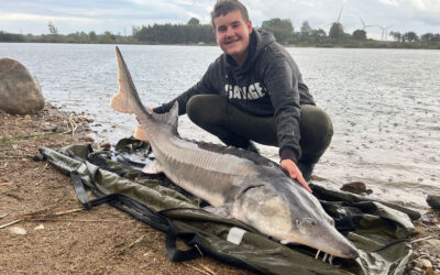 NY PR-BELUGA TIL ALFRED