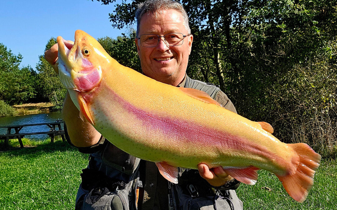 Arne Biering med sin flotte guldørred fra Tusaagaard put and take