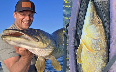 DAIWA OPEN 2025: KÆMPEGEDDE TIL ANDERS BYLOV VANDT AUGUST HEAT