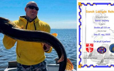 DANIEL STORMLY´S 133 CM GEDDE GODKENDT SOM DANSK LÆNGDEREKORD