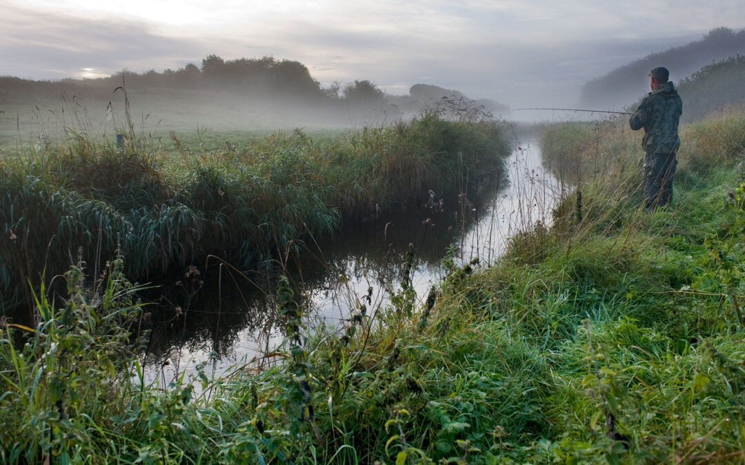 DTU Aqua har netop undersøgt ørredbestande i Vest- og Nordjylland