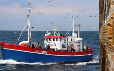 FYRHOLM FLYTTER TIL SPODSBJERG EFTER FLOTTE FLADFISK