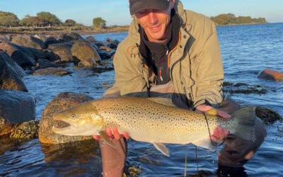 DAIWA OPEN 2025: 74 CM HAVØRRED FRA VESTSJÆLLAND