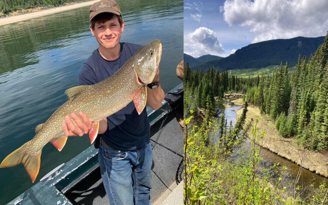 Laketrout fra British Columbia i Canada
