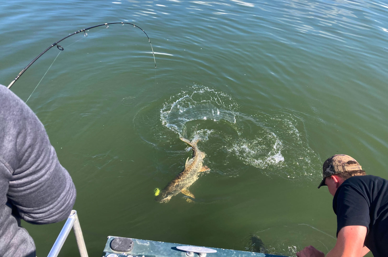 Fight med lake trout i British Columbia