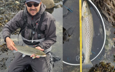 DAIWA OPEN 2025: HAVET GIVER – OG HAVET TAGER