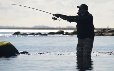RED ISEFJORDEN: VIL DEN GRØNNE TREPART REDDE VORES FJORDE?