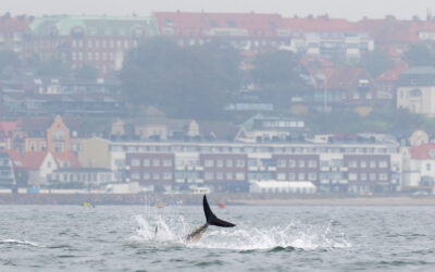 2025 TUNKVOTEN LUKKET MED 17 TUN