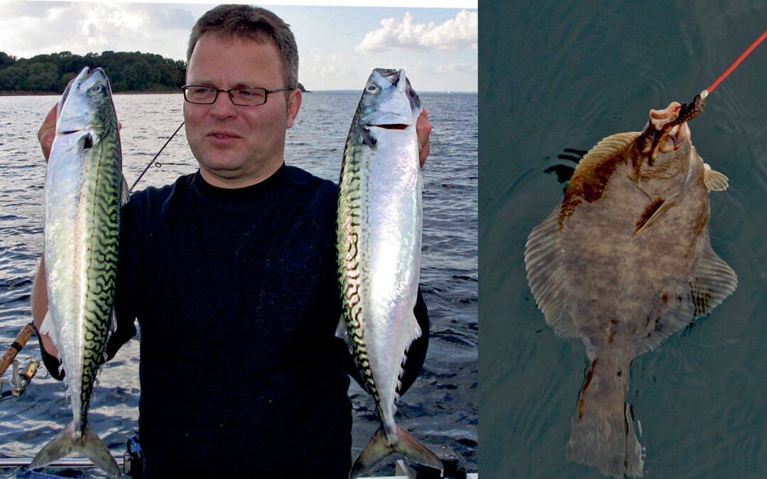 Havfiskeri i oktober byder på både makrel og fladfisk