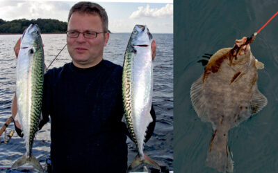 HAVFISKERI I OKTOBER – MAKREL, FLADFISK, SILD OG HORNFISK