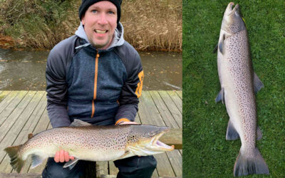 DAIWA OPEN 2025: ET TUNGT HAVØRREDHUG I SÆBY Å