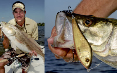 JERKBAIT LIGHT I TROPERNE