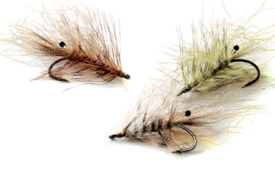 POLARREJEN – EN SIKKER REJEFLUE TIL KYSTENS HAVØRREDER