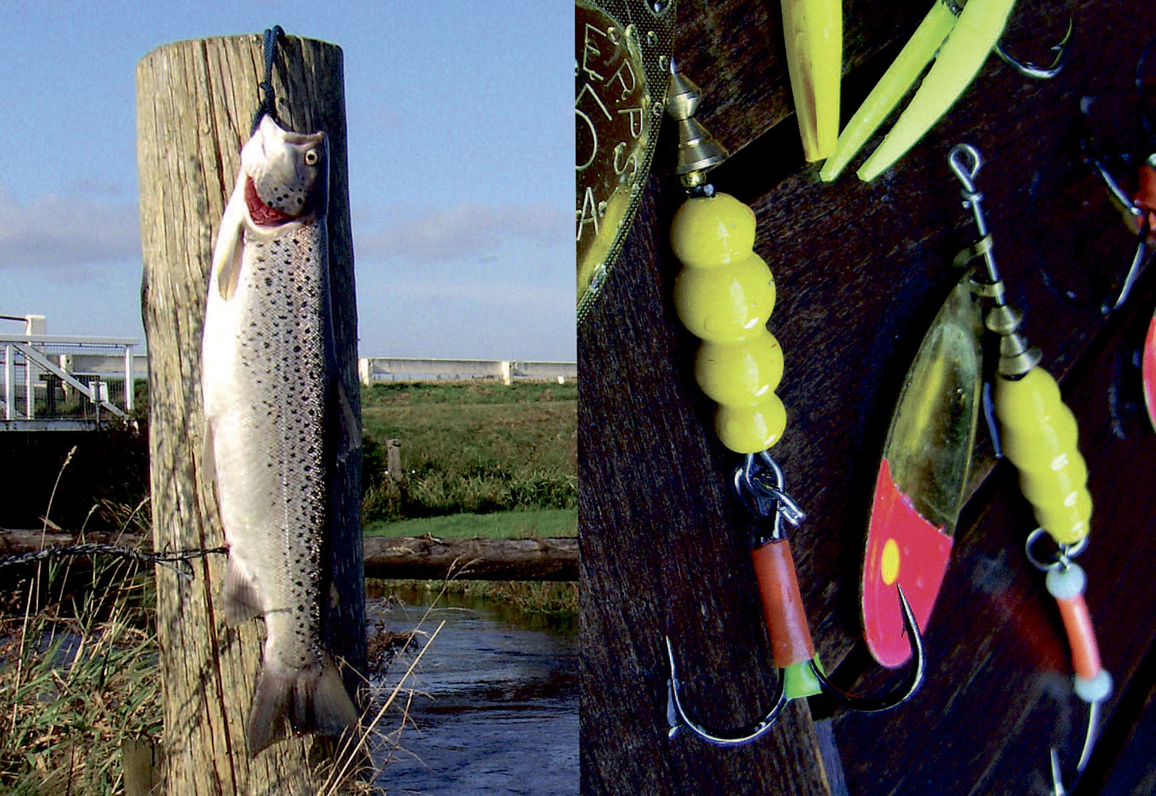 Havørredfiskeri med spinner i åen.