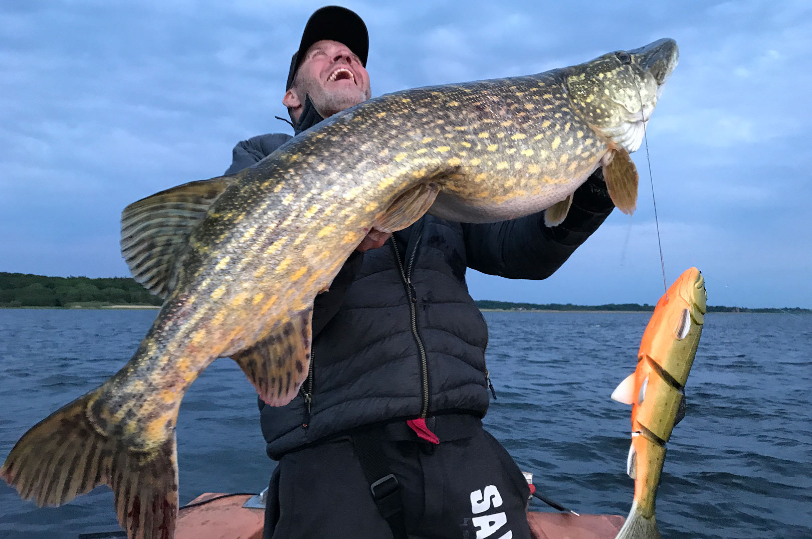 Mads grosell med storgedde