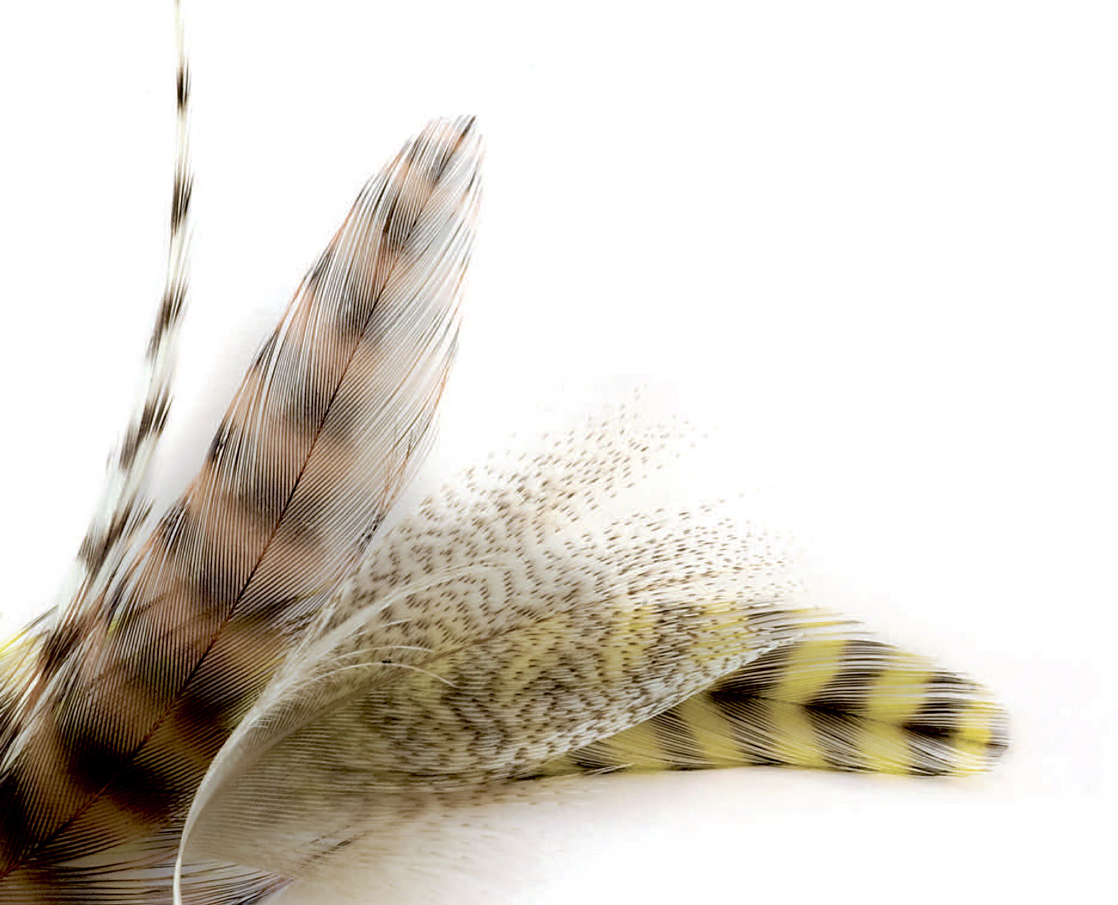 Materialer til rejefluen Polarrejen