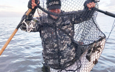 SAVAGE GEAR I 20 ÅR: FRA KARPER TIL HAVØRRED OG ALVERDENS ROVFISK