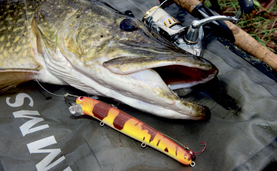 magnet-rig til geddefiskeri